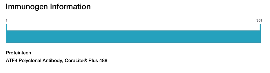 ATF4 Polyclonal Antibody, CoraLite&reg; Plus 488
