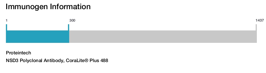 NSD3 Polyclonal Antibody, CoraLite® Plus 488