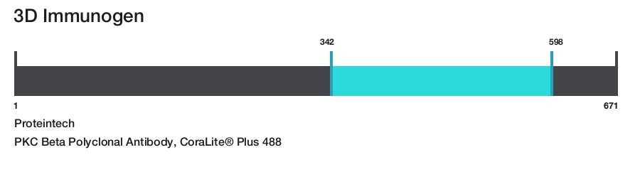 PKC Beta Polyclonal Antibody, CoraLite&reg; Plus 488