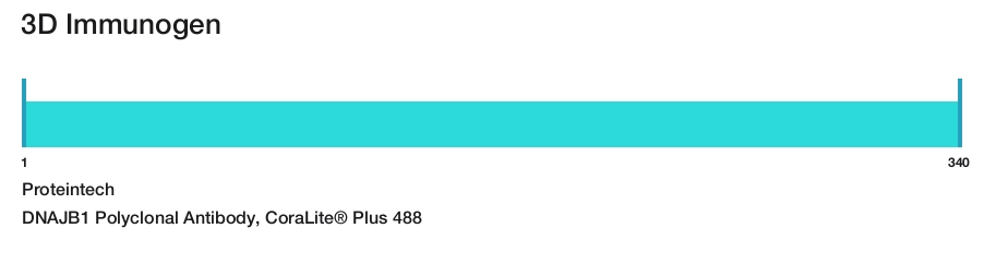DNAJB1 Polyclonal Antibody, CoraLite&reg; Plus 488