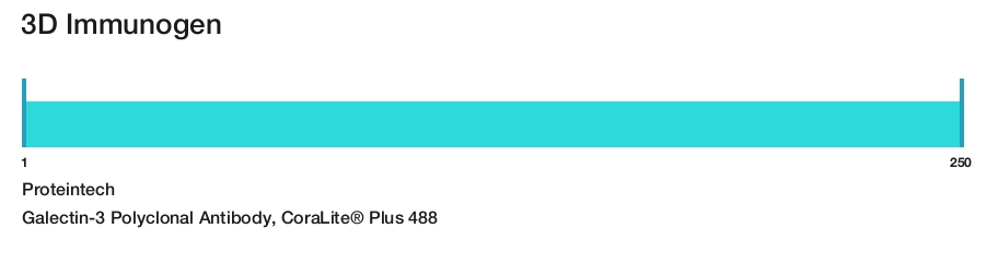 Galectin-3 Polyclonal Antibody, CoraLite&reg; Plus 488