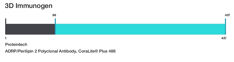 ADRP/Perilipin 2 Polyclonal Antibody, CoraLite&reg; Plus 488