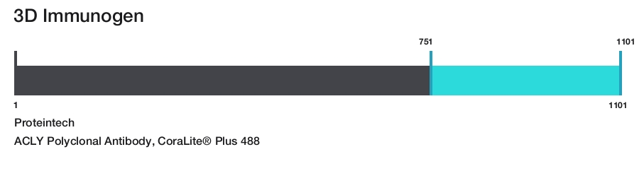 ACLY Polyclonal Antibody, CoraLite&reg; Plus 488