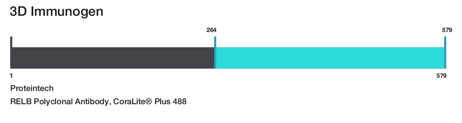 RELB Polyclonal Antibody, CoraLite&reg; Plus 488