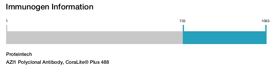 AZI1 Polyclonal Antibody, CoraLite® Plus 488