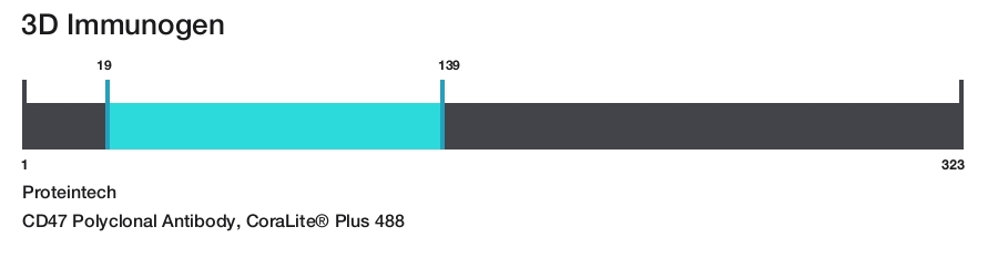 CD47 Polyclonal Antibody, CoraLite&reg; Plus 488
