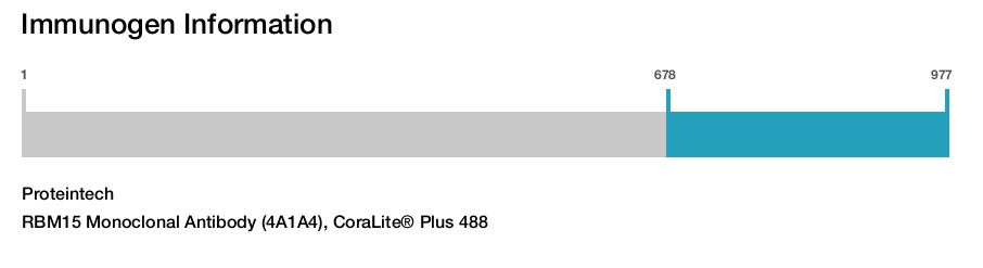 RBM15 Monoclonal Antibody (4A1A4), CoraLite® Plus 488