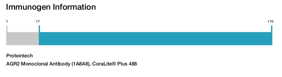 AGR2 Monoclonal Antibody (1A8A8), CoraLite® Plus 488