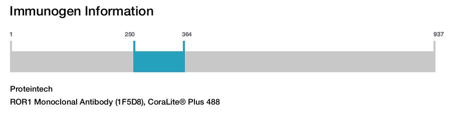 ROR1 Monoclonal Antibody (1F5D8), CoraLite® Plus 488