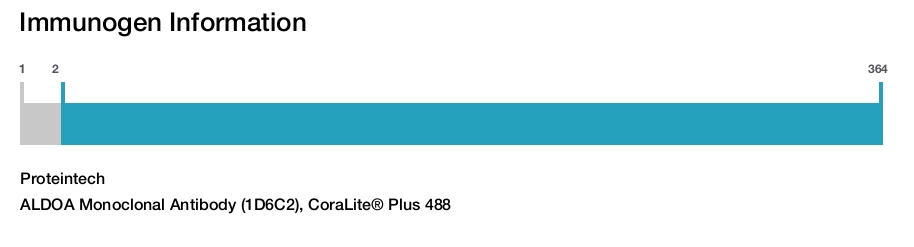 ALDOA Monoclonal Antibody (1D6C2), CoraLite® Plus 488