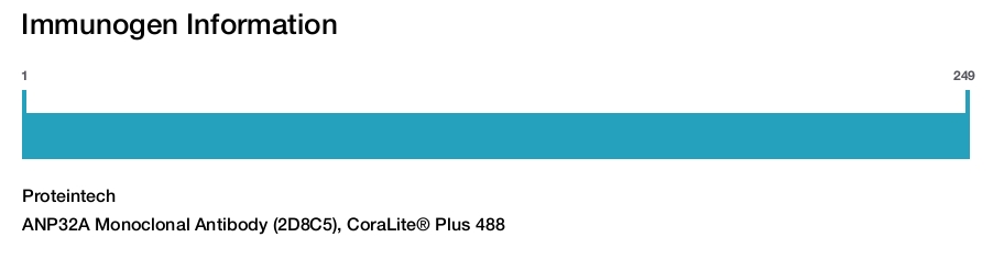 ANP32A Monoclonal Antibody (2D8C5), CoraLite® Plus 488