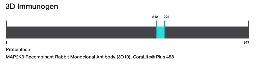 MAP2K3 Recombinant Rabbit Monoclonal Antibody (3O10), CoraLite&reg; Plus 488