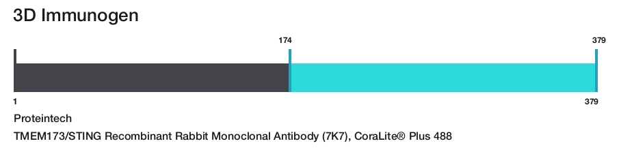 TMEM173/STING Recombinant Rabbit Monoclonal Antibody (7K7), CoraLite&reg; Plus 488