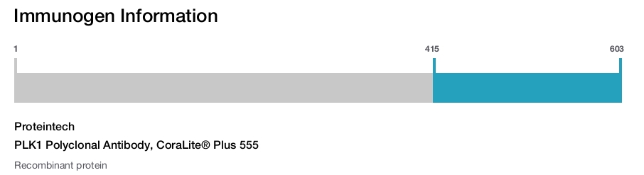 PLK1 Polyclonal Antibody, CoraLite&reg; Plus 555