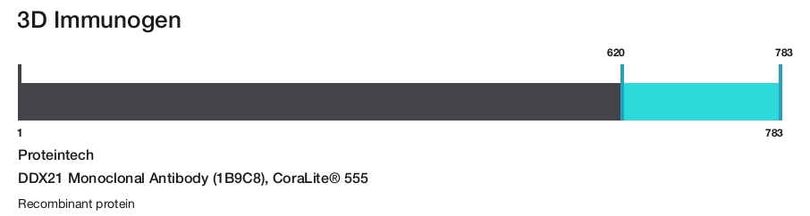 DDX21 Monoclonal Antibody (1B9C8), CoraLite&reg; 555