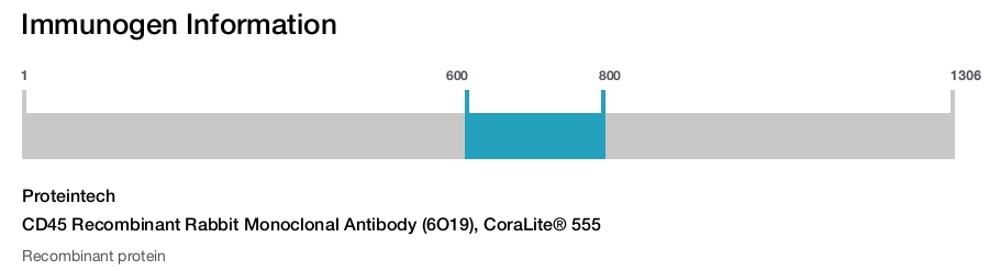 CD45 Recombinant Rabbit Monoclonal Antibody (6O19), CoraLite® 555