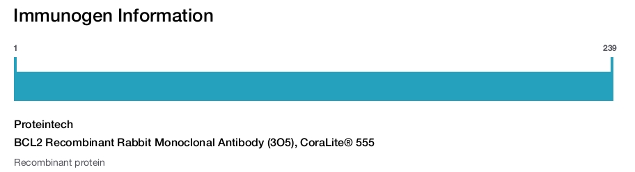 BCL2 Recombinant Rabbit Monoclonal Antibody (3O5), CoraLite® 555