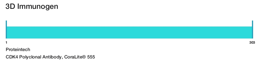 CDK4 Polyclonal Antibody, CoraLite&reg; 555