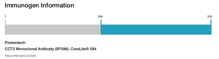CCT3 Monoclonal Antibody (5F5A6), CoraLite® 594