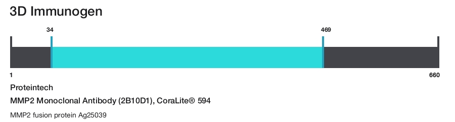 MMP2 Monoclonal Antibody (2B10D1), CoraLite&reg; 594