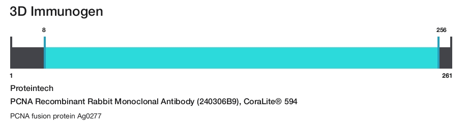 PCNA Recombinant Rabbit Monoclonal Antibody (240306B9), CoraLite&reg; 594
