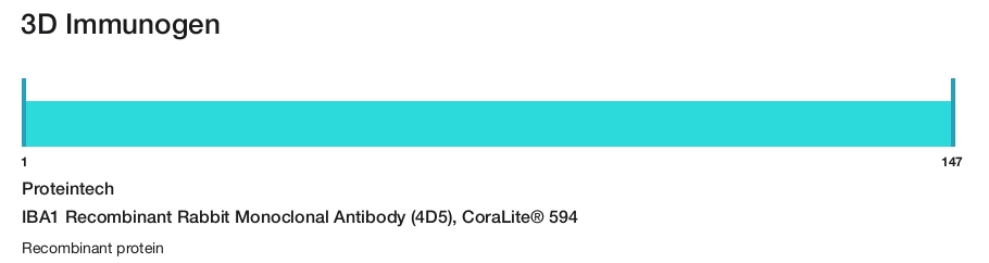 IBA1 Recombinant Rabbit Monoclonal Antibody (4D5), CoraLite&reg; 594