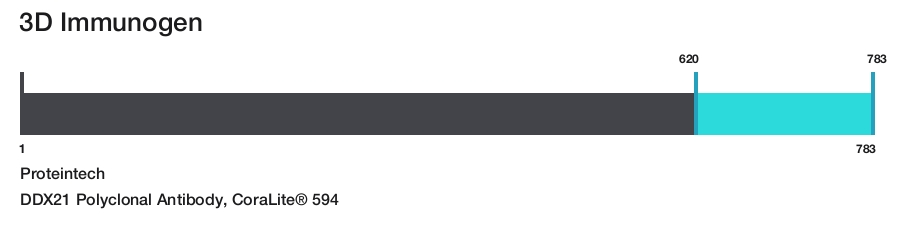 DDX21 Polyclonal Antibody, CoraLite&reg; 594