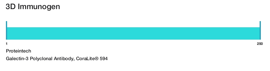 Galectin-3 Polyclonal Antibody, CoraLite&reg; 594