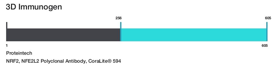 NRF2, NFE2L2 Polyclonal Antibody, CoraLite&reg; 594