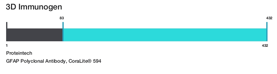 GFAP Polyclonal Antibody, CoraLite&reg; 594