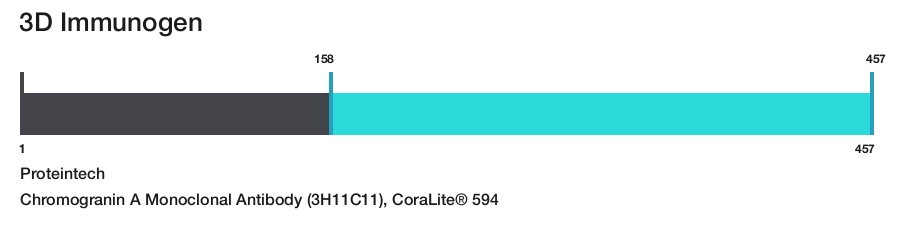 Chromogranin A Monoclonal Antibody (3H11C11), CoraLite&reg; 594