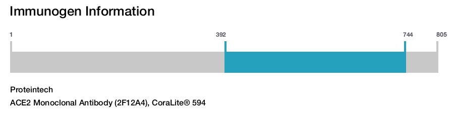 ACE2 Monoclonal Antibody (2F12A4), CoraLite® 594