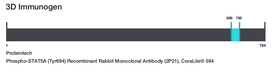 Phospho-STAT5A (Tyr694) Recombinant Rabbit Monoclonal Antibody (2P21), CoraLite&reg; 594