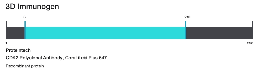 CDK2 Polyclonal Antibody, CoraLite&reg; Plus 647