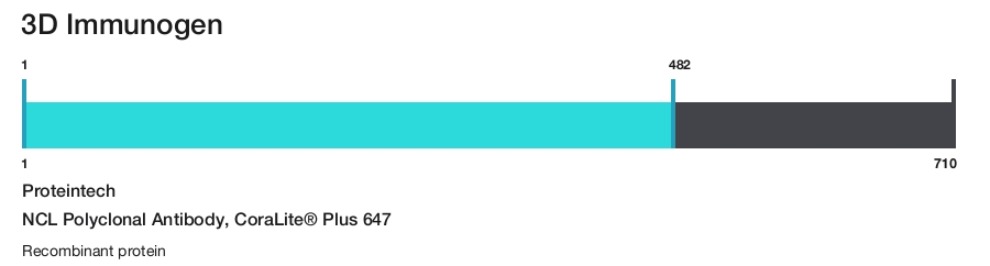 NCL Polyclonal Antibody, CoraLite&reg; Plus 647