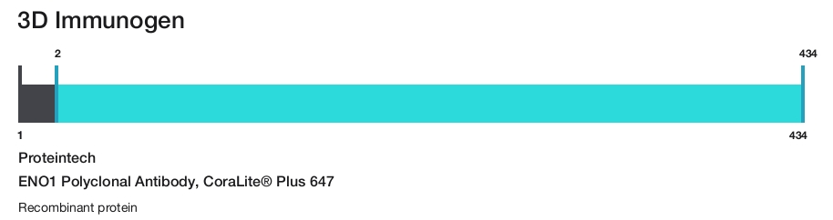 ENO1 Polyclonal Antibody, CoraLite&reg; Plus 647