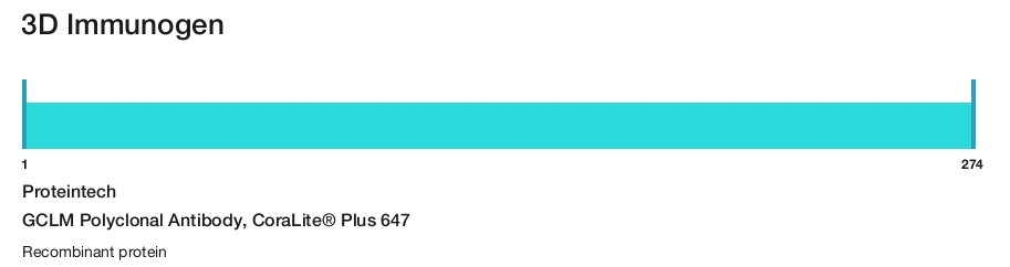 GCLM Polyclonal Antibody, CoraLite&reg; Plus 647