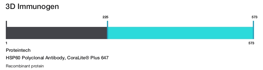 HSP60 Polyclonal Antibody, CoraLite&reg; Plus 647