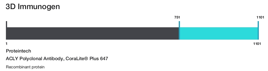 ACLY Polyclonal Antibody, CoraLite&reg; Plus 647