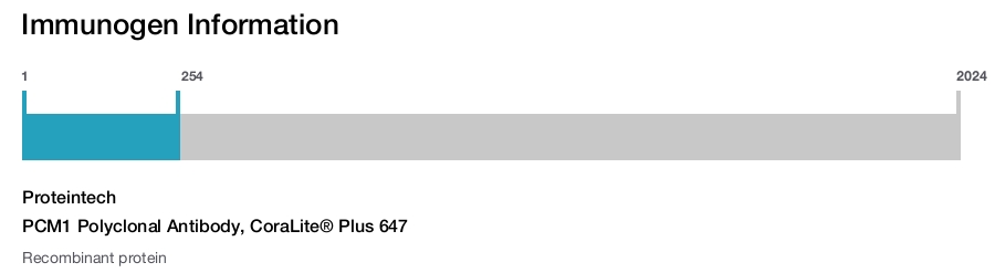 PCM1 Polyclonal Antibody, CoraLite&reg; Plus 647