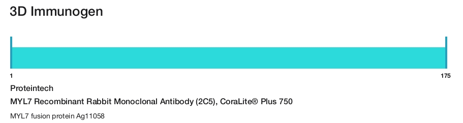 MYL7 Recombinant Rabbit Monoclonal Antibody (2C5), CoraLite&reg; Plus 750