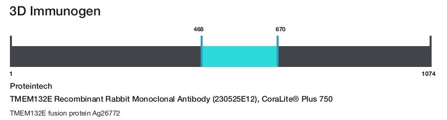 TMEM132E Recombinant Rabbit Monoclonal Antibody (230525E12), CoraLite&reg; Plus 750