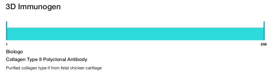 Collagen Type II Polyclonal Antibody