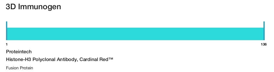 Histone-H3 Polyclonal Antibody, Cardinal Red&trade;