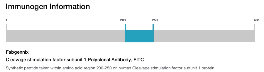 Cleavage stimulation factor subunit 1 Polyclonal Antibody, FITC