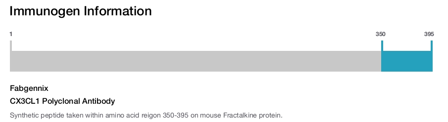 CX3CL1 Polyclonal Antibody