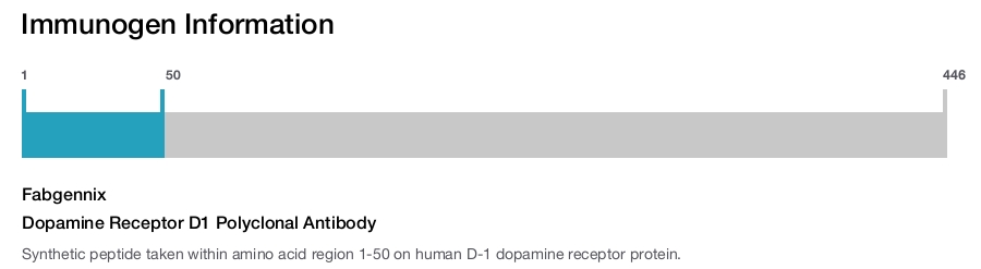 Dopamine Receptor D1 Polyclonal Antibody