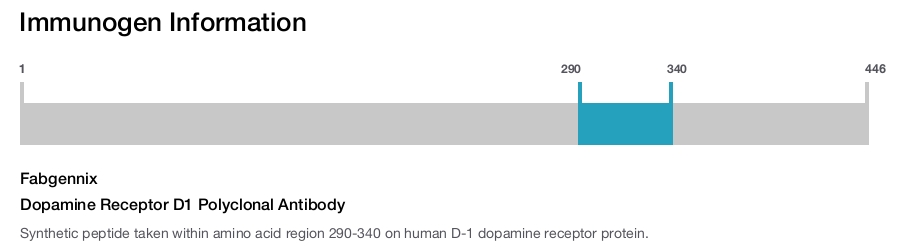 Dopamine Receptor D1 Polyclonal Antibody