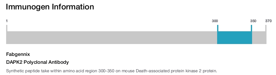 DAPK2 Polyclonal Antibody