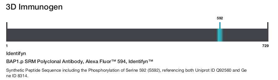 BAP1.p SRM Polyclonal Antibody, Alexa Fluor&trade; 594, Identifyn&trade;